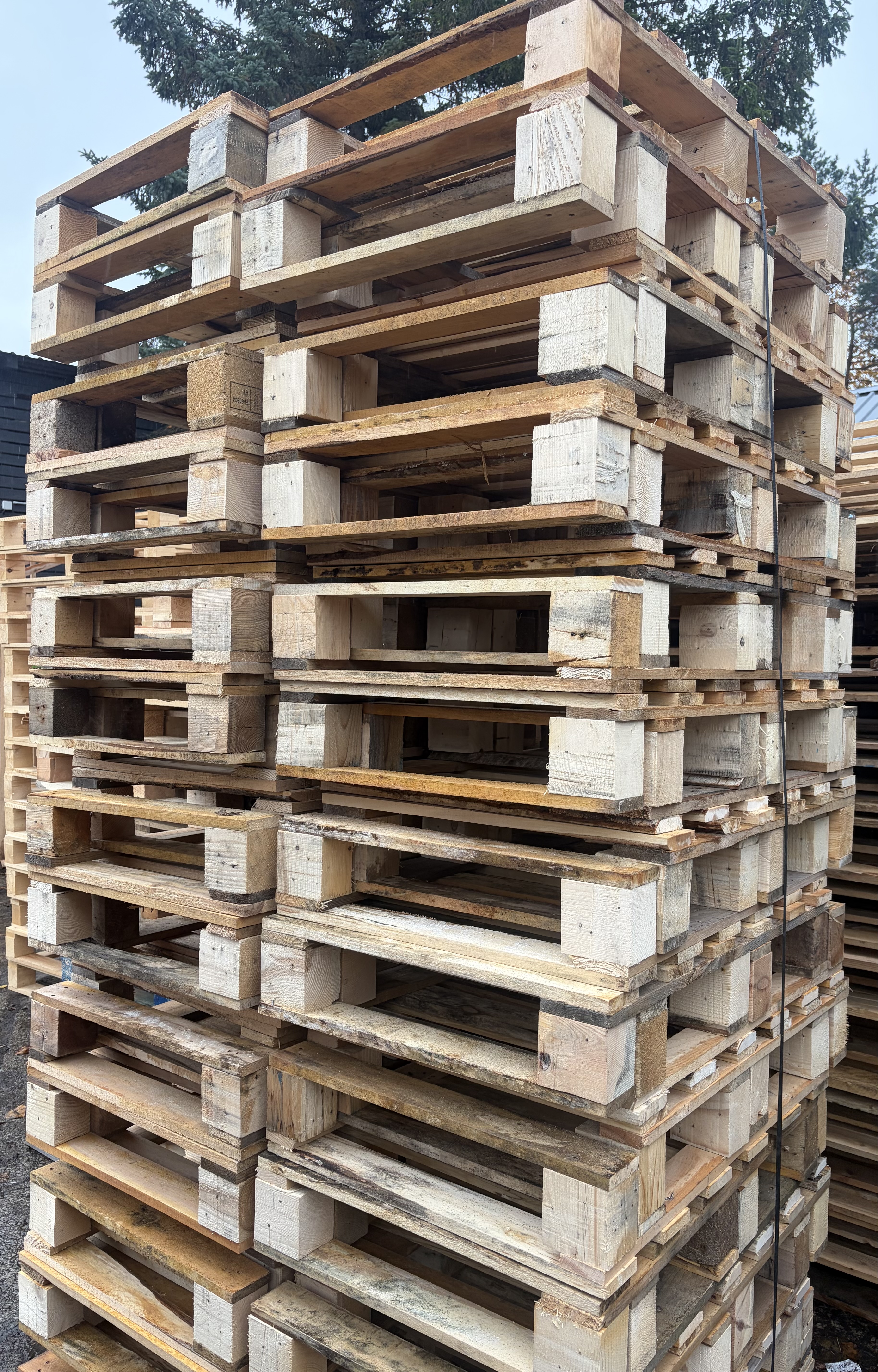 new 600x800 pallets from recycled wood 🌱